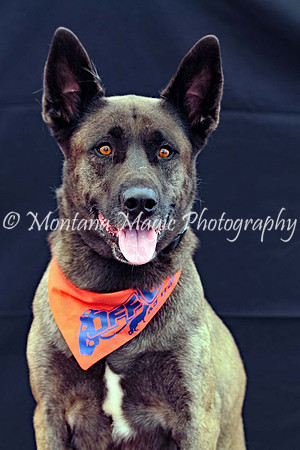Kaia_0206
