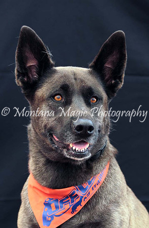 Kaia_0200