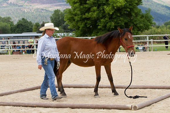 Entry #3_6278