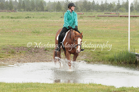 Fergus_3073