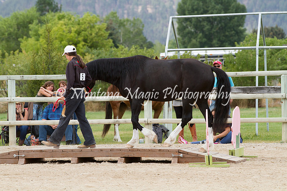 Entry #5_6287