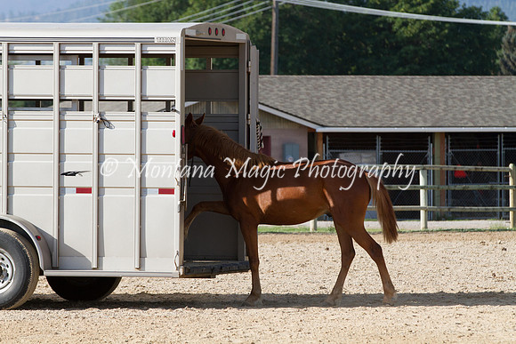Entry #12_5861