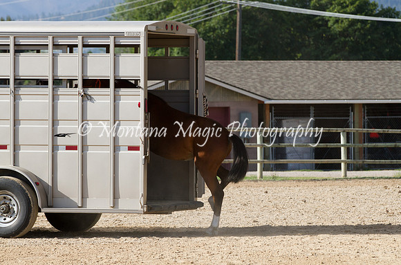 Entry #6_6014