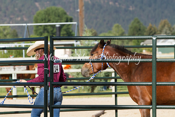 Entry #14_6048
