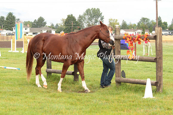 Big D_0657