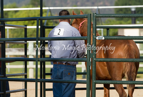 Entry #2_5738