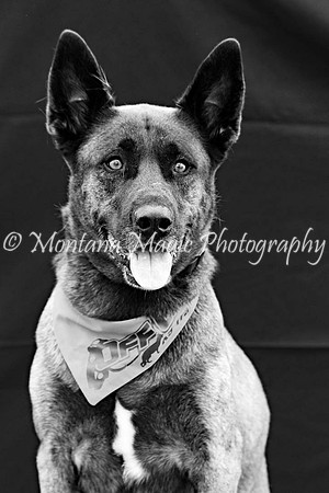 Kaia_0206-A