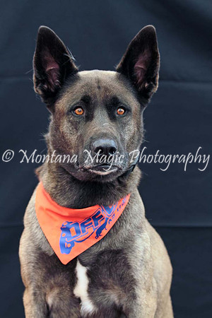 Kaia_0204