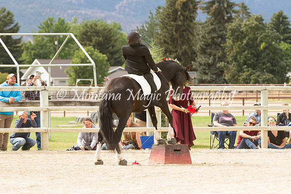 Entry #5_6597