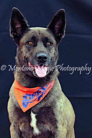 Kaia_0209