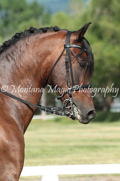 Baby Boy Oro_0165