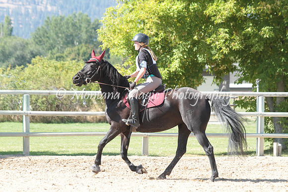 Aimee_1274)