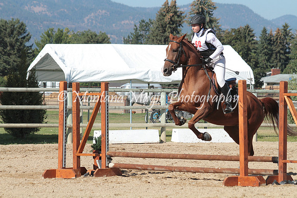 Catalina_1182