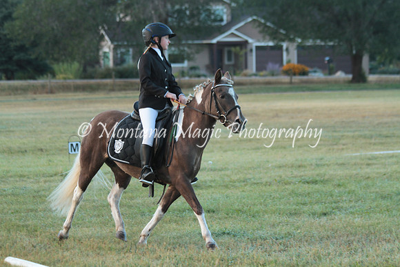Cookie_0478