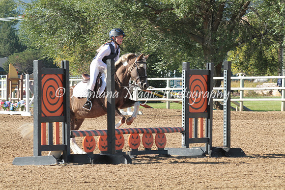 Cookie_0790