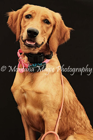 Lola_0587