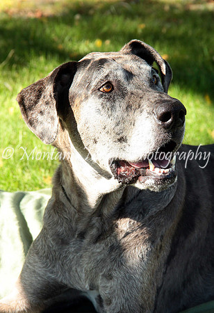 Cora_0619