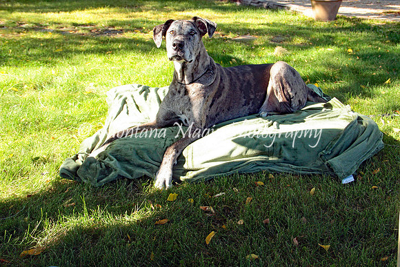 Cora_0583