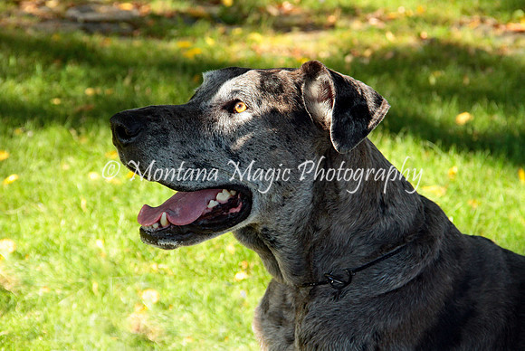 Cora_0658