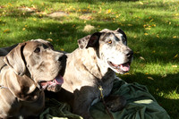 Cora & Theo_1071