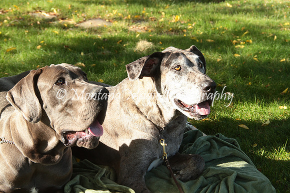Cora & Theo_1071