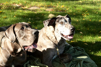 Cora & Theo_1072