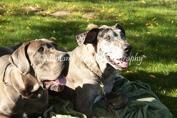 Cora & Theo_1073