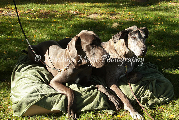 Cora & Theo_1076