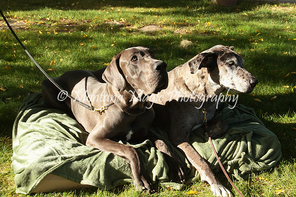 Cora & Theo_1080