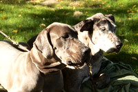 Cora & Theo_1083