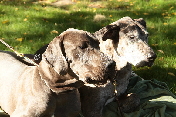 Cora & Theo_1083
