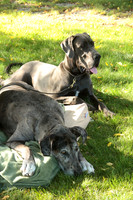 Cora & Theo_1191
