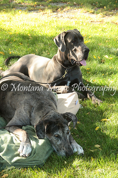 Cora & Theo_1191