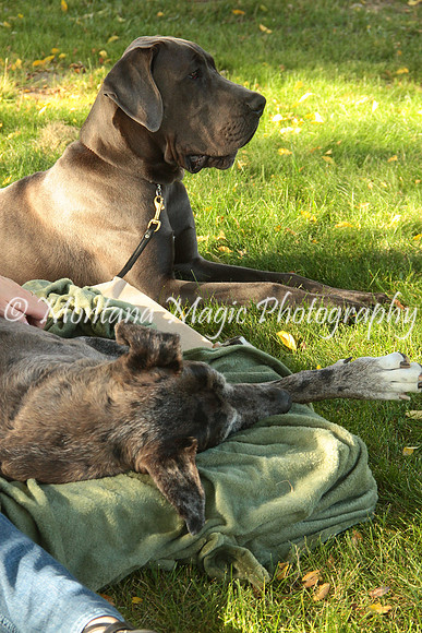 Cora & Theo_1205