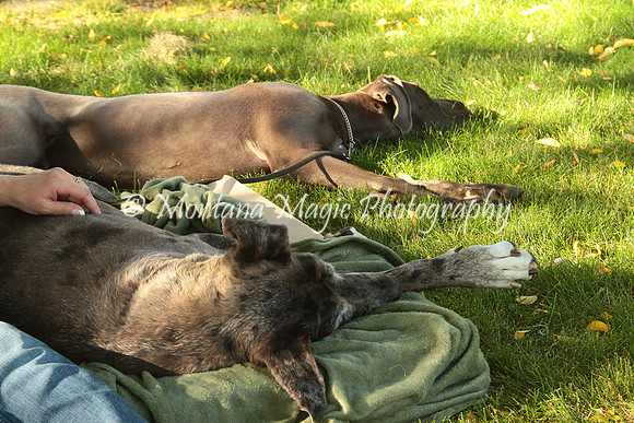 Cora & Theo_1211