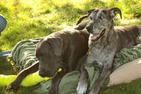 Cora & Theo_1215
