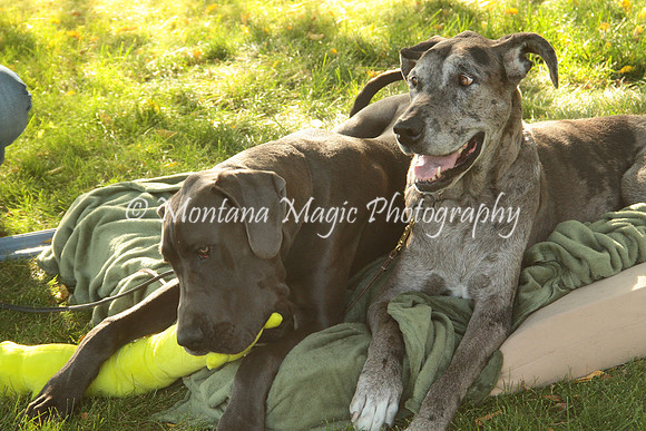 Cora & Theo_1215