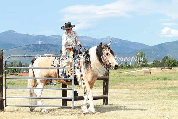 Cowboy_9769