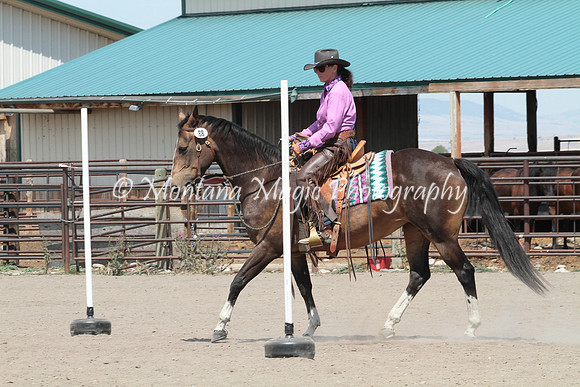 Rambling Colonel_4584
