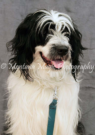 Tucker_0439