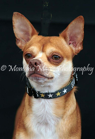 Monkey_0481