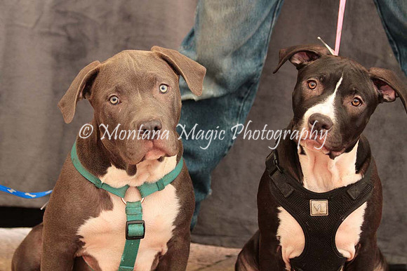 Ezekial & Diamond_0358