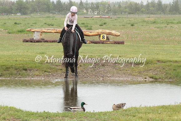 Air Horse One_2957