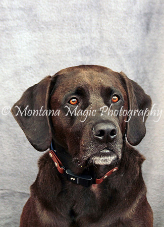 Mooney_0513