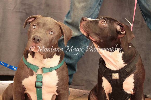Ezekial & Diamond_0367