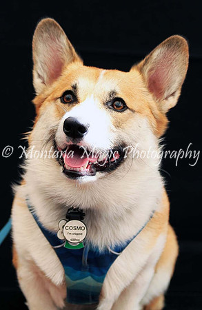 Cosmo_0382
