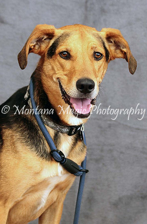 Petey_0524