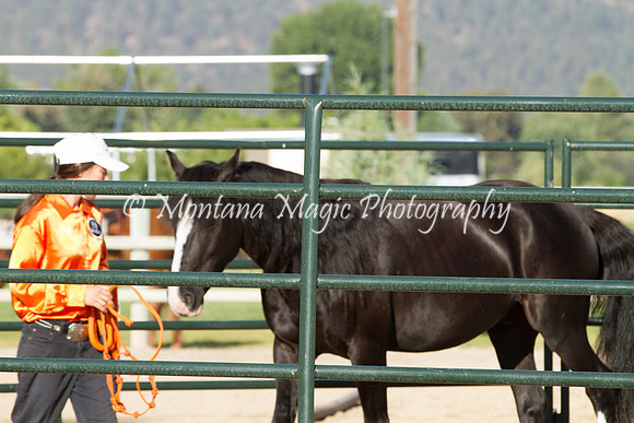 Entry #5_5673