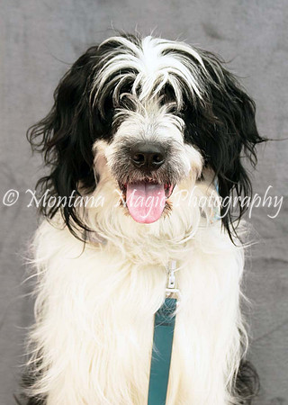 Tucker_0443
