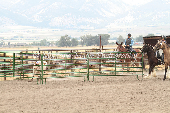 Knightstown Casey_6563